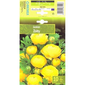 Лютиче Жълто Ranunculus - 10 бр луковици