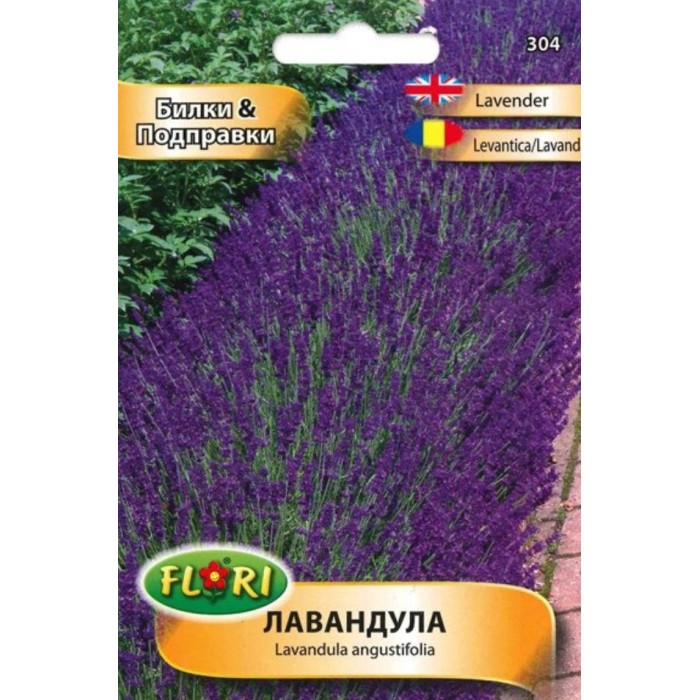 Лавандула Lavandula angustifolia