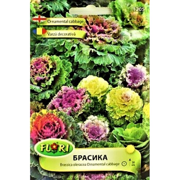 Брасика, Декоративно зеле