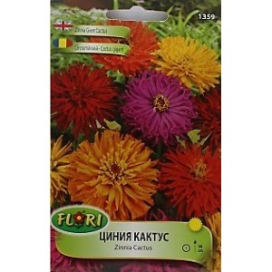 Циния кактус микс Zinnia cactus