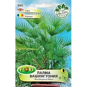 Палма Вашингтония Washingtonia filifera