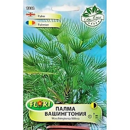 Палма Вашингтония Washingtonia filifera