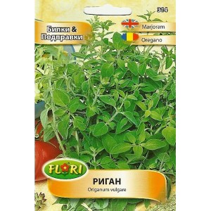 Риган Оriganum vulgare