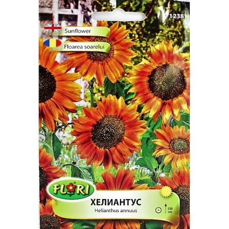 Хелиантус (Слънчоглед) оранжев