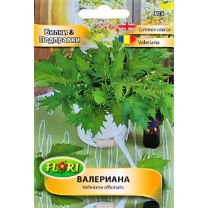 Валериана Valeriana officinalis