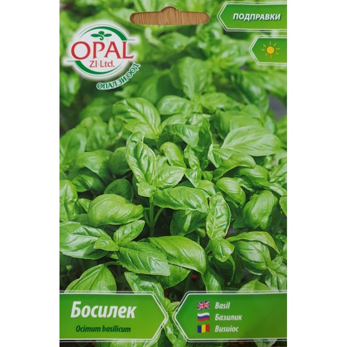 Босилек Ocimum basilicum