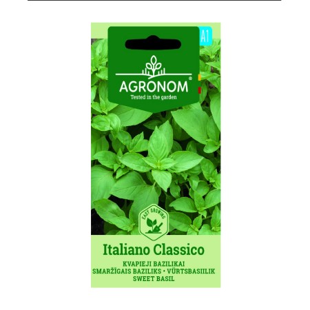 Босилек Класически Италиански Ocimum basilicum
