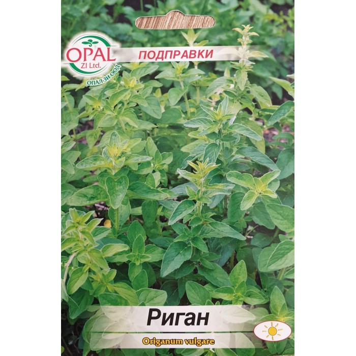 Риган Оriganum vulgare