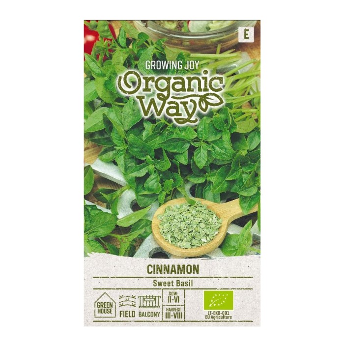 Органик Босилек Канела Ocimum basilicum