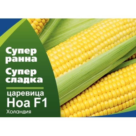 Супер сладка Царевица Ноа F1 - много ранна