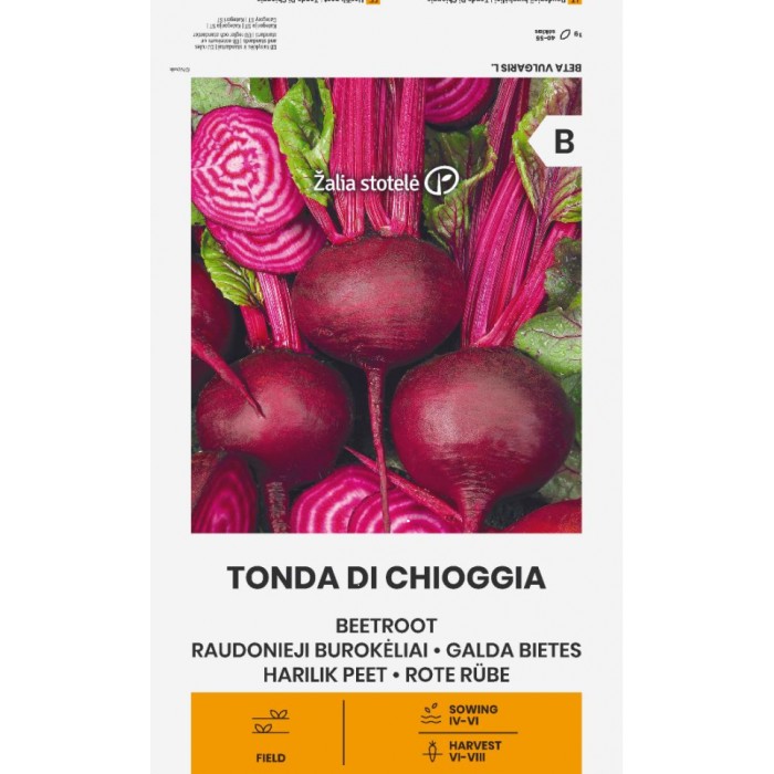 Салатно Цвекло Чиогиа Tonda Di Chiggia