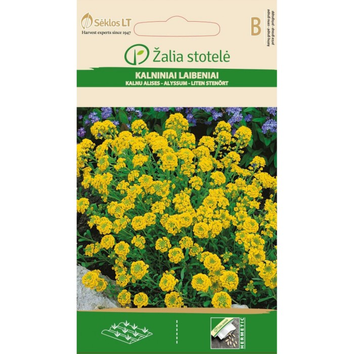 Алисум жълт Alyssum montanum