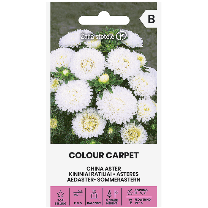 Астри Бели Цветен килим Callistephus chinensis L Ness Colour Carpet