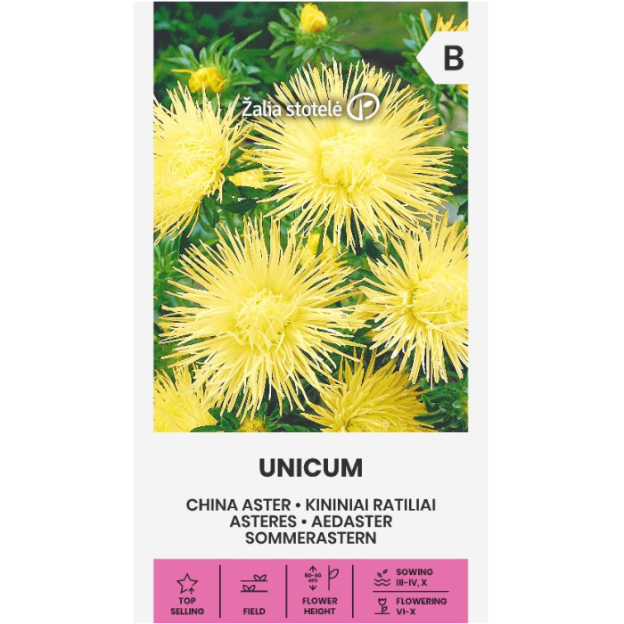Астри Жълти Игловидни Уникум Callistephus chinensis L Ness Unicum