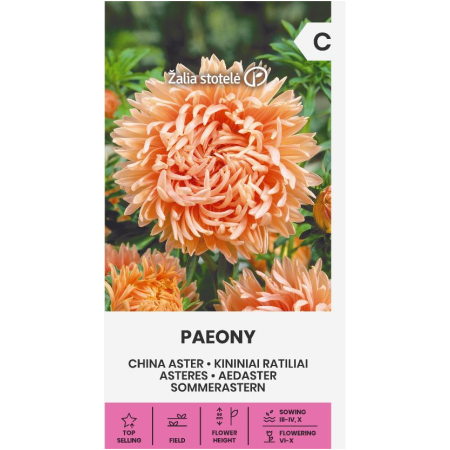 Астри Коралови Паеони Callistephus chinensis L Ness Paeony