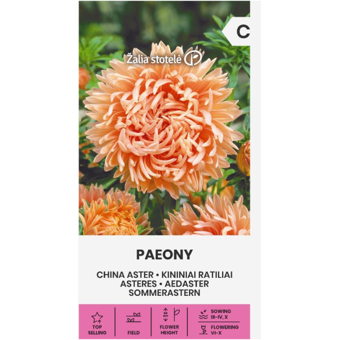 Астри Коралови Паеони Callistephus chinensis L Ness Paeony