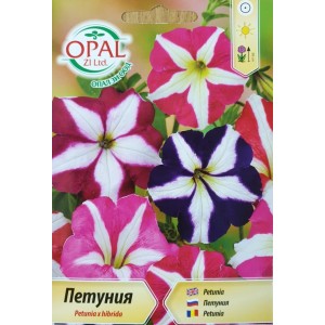Петуния Звезда Petunia x hybrida