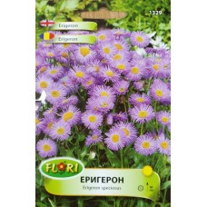 Семена от Еригерон Erigeron speciosus