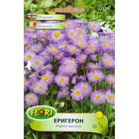 Семена от Еригерон Erigeron speciosus
