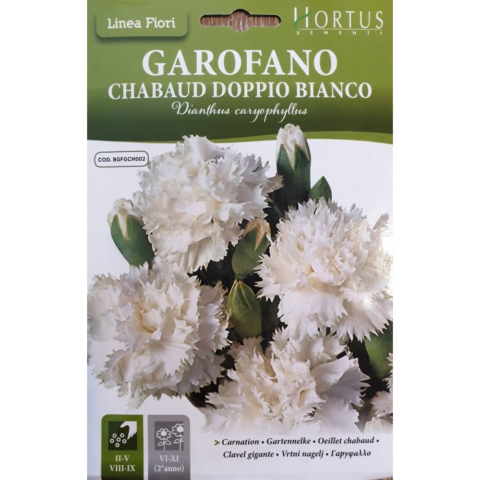 Карамфил Шабо Бял Chabaud Doppio Bianco