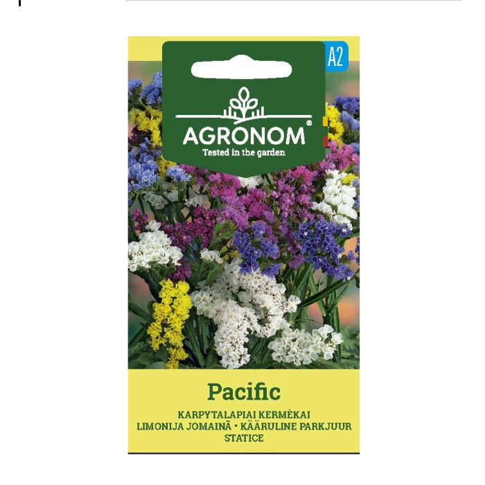 Лимониум Пасифик Limonium sinuatum Pacific