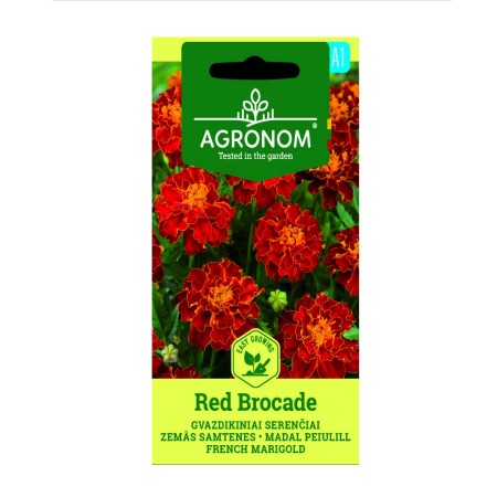 Тагетес червен Red Brocade