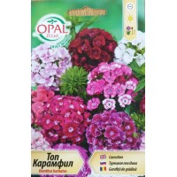 Топ Карамфил микс