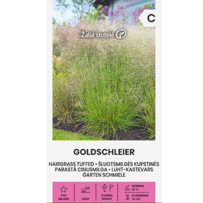 Декоративна трева Goldschleier Deschampsia caespitos