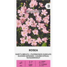 Гипсофила Розеа Gypsophila elegans M. Bieb.