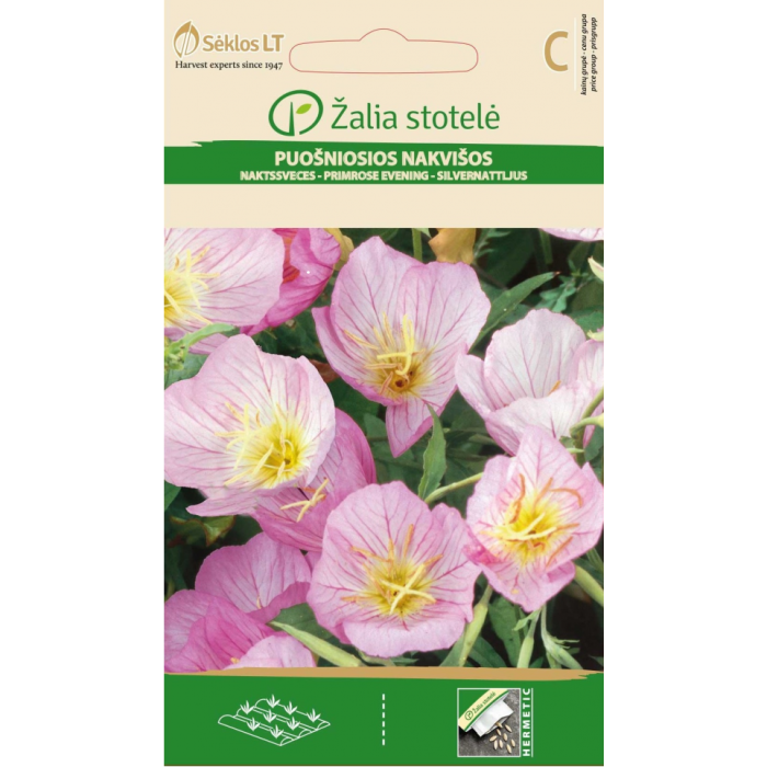 Вечерна Иглика Розова Oenothera speciosa