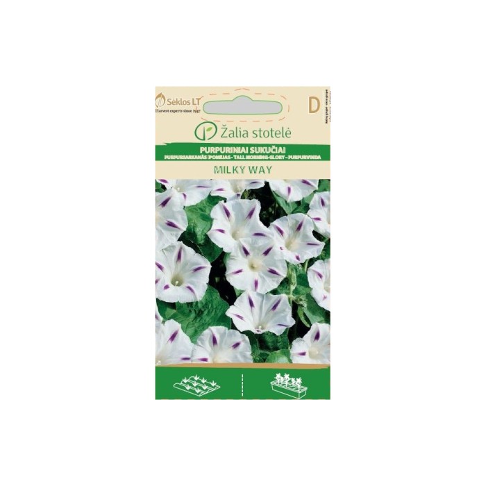 Ипомея (Грамофонче) Млечен път Ipomea Purpurea (L.) Roth Milky way