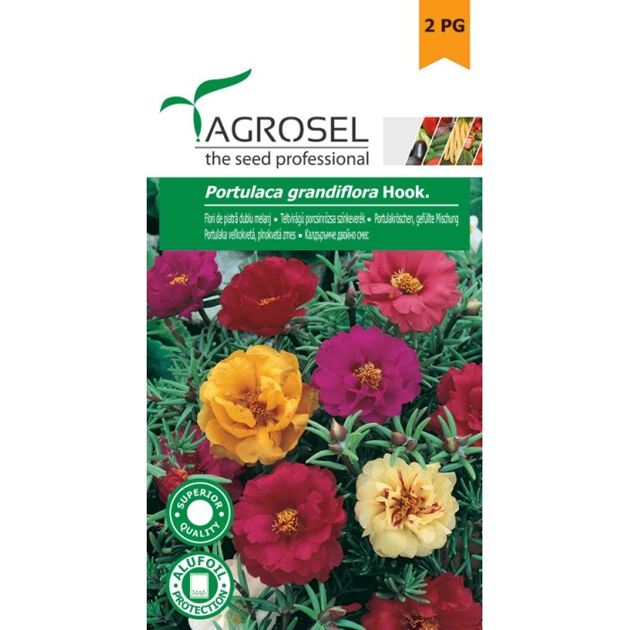 Калдаръмче Кичесто Микс Portulaca grandiflora Hook