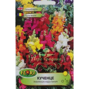 Кученце Antirrhinum majus nanum