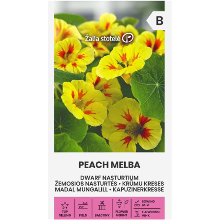 Латинка ниска прасковена мелба Tropaeolum