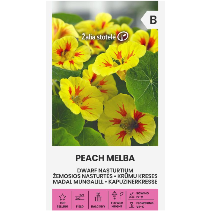Латинка ниска прасковена мелба Tropaeolum