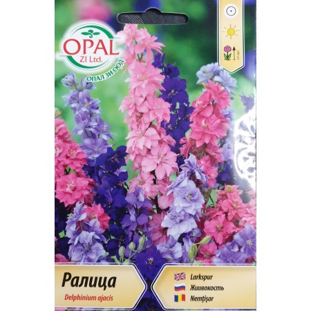 Ралица (Делфиниум ) Delphinium ajacis