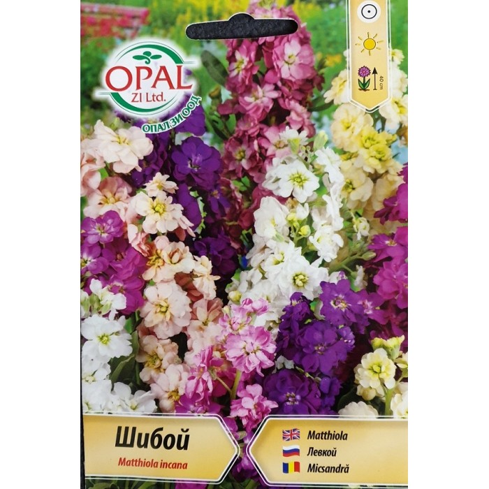 Шибой (Матиола) Matthiola incana