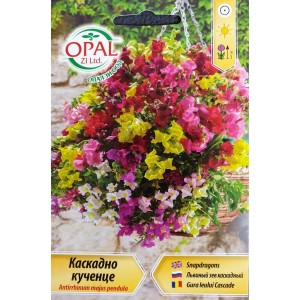 Каскадно Кученце Antirrhinum majes pendula