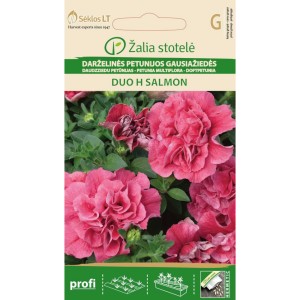 Петуния кичеста Дуо Салмон Petunia hybrida multiflora
