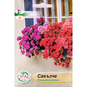 Сакъзче Pelargonium peltatum