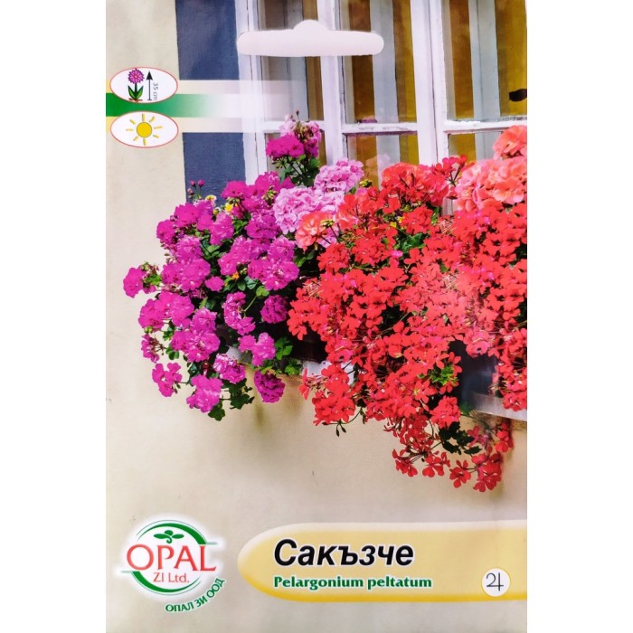 Сакъзче Pelargonium peltatum
