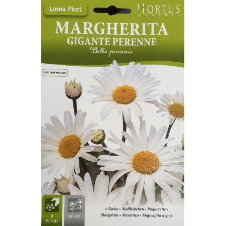Маргаритка Многогодишна Гигант Bellis Perennis