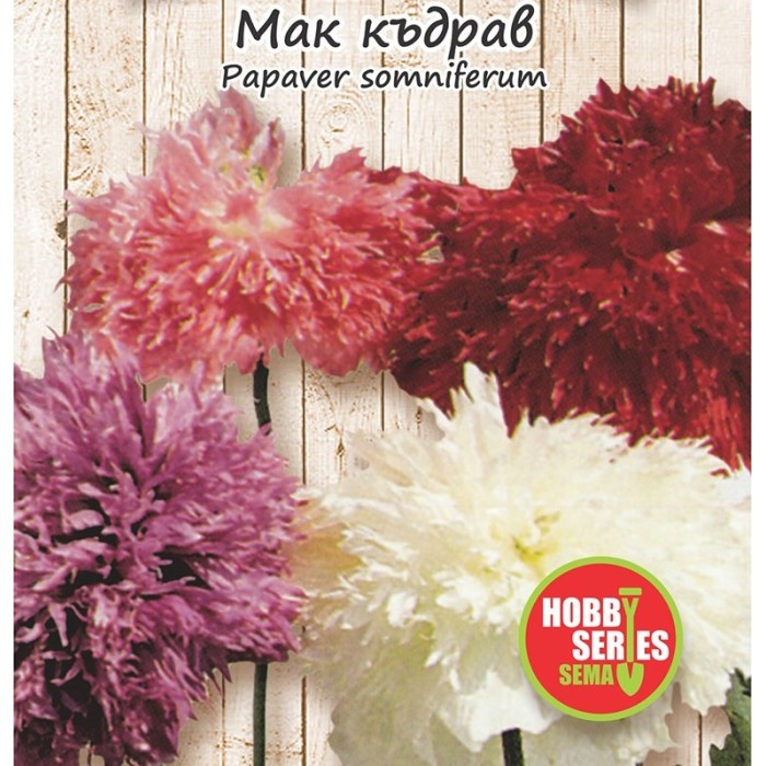 Семена за Мак къдрав Papaver somniferum