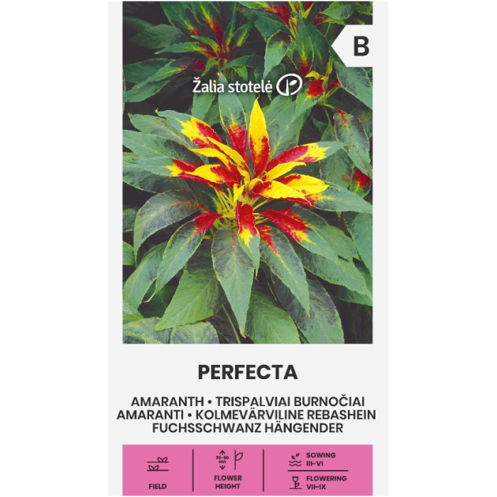 Амарант (Щир) Perfecta Amaranthus gangeticus L