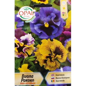 Виола Рококо Viola x wittroskiana