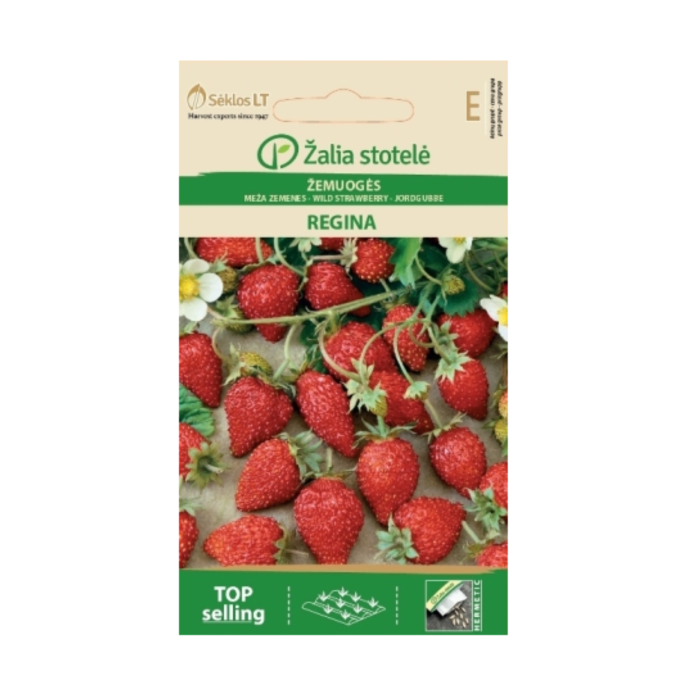 Ягоди Регина Fragaria vesca