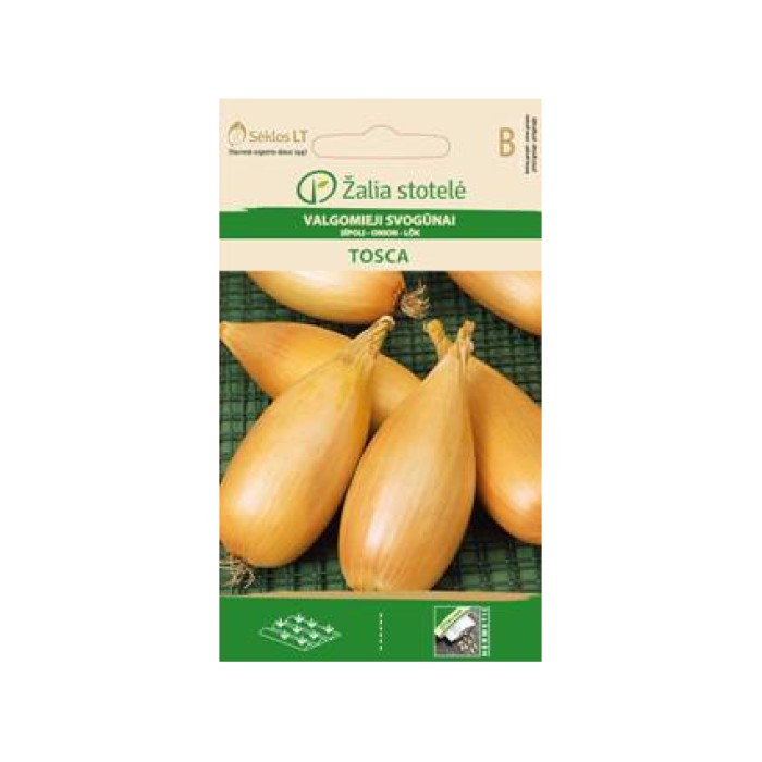 Лук Тоска Allium cepa L Tosca
