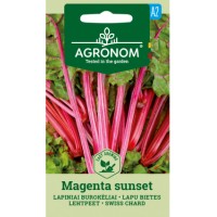 Манголд маджента сънсет Mageneta sunset