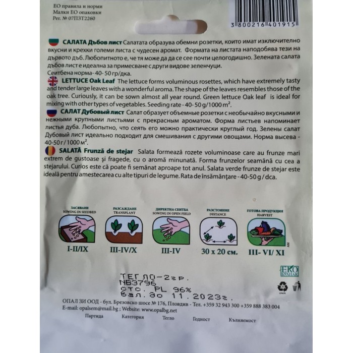 Салата Дъбов лист (зелена)