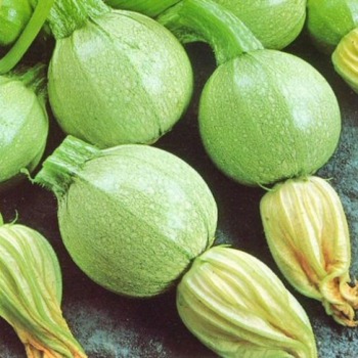 Тиквички Ди Ница Di Nizza